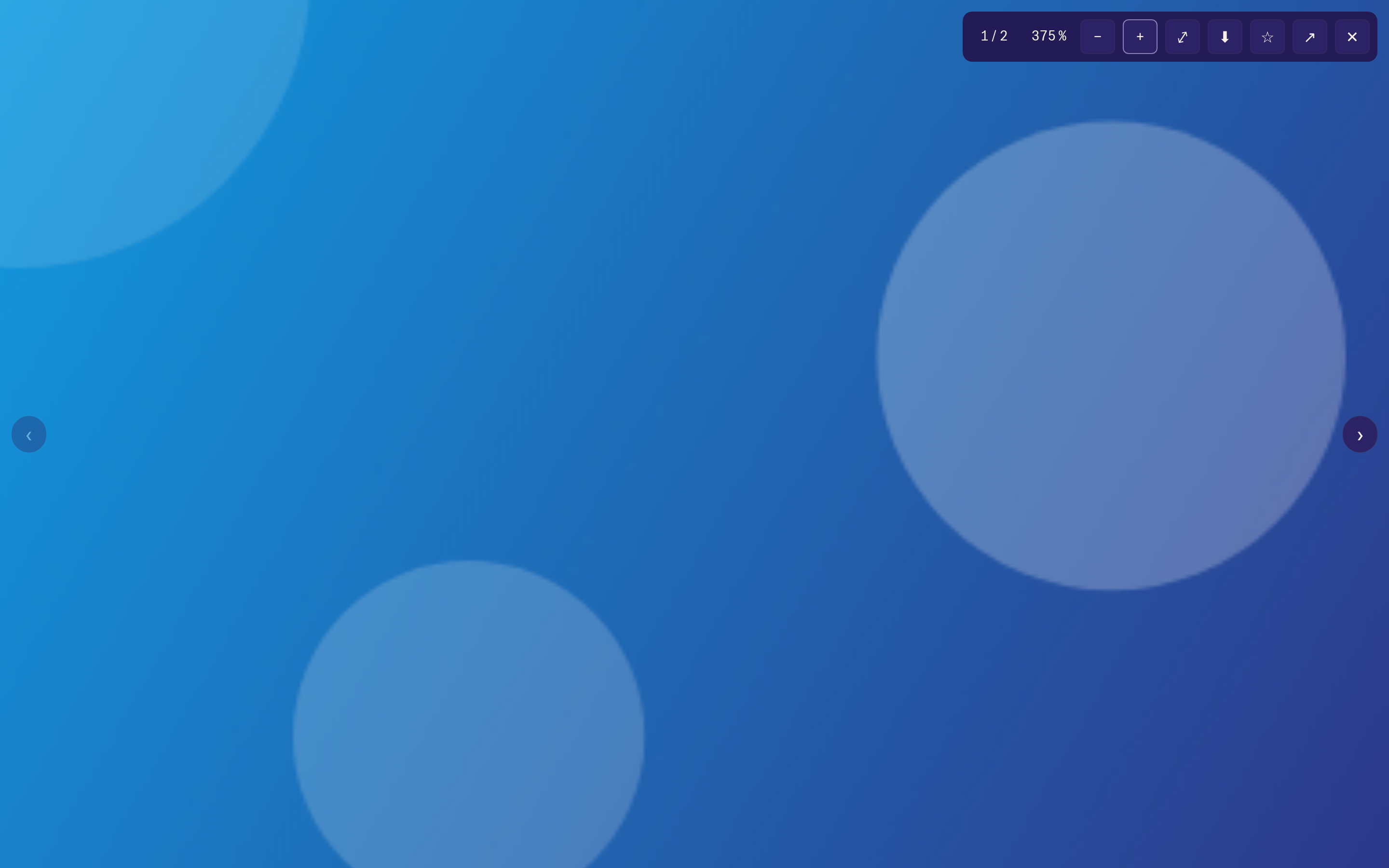 Image viewer with zoom toolbar